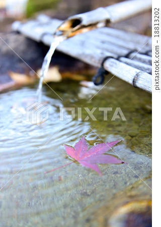 Japanese Bamboo fountain with red Maple Leaf 18813202
