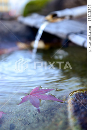 Japanese Bamboo fountain with red Maple Leaf Japanese Bamboo fountain with red Maple Leaf 18813203