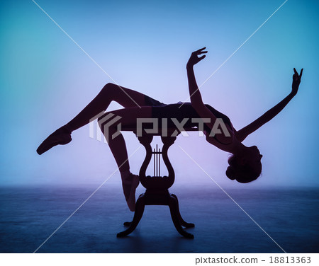 The silhouette of young ballerina on the wooden The silhouette of young ballerina on the wooden 18813363