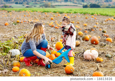Little kid girl and mother having fun on pumkin Little kid girl and mother having fun on pumkin 18813816