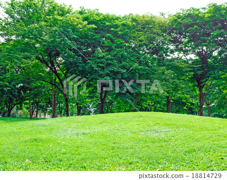 green lawn green lawn 18814729