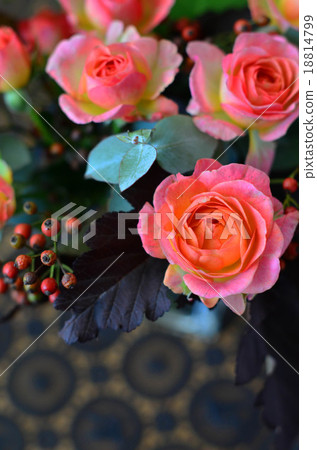 Rose bouquet 18814799