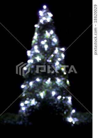 Christmas tree. 18820029
