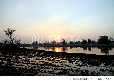 Sunset at the rice farm. 18820332