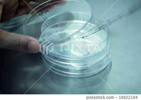 Pipette adding fluid water to test tubes. 18822184