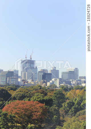 城市綠色初秋 城市綠色初秋 18824726