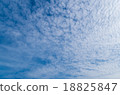 鱗狀雲彩和藍天 18825847