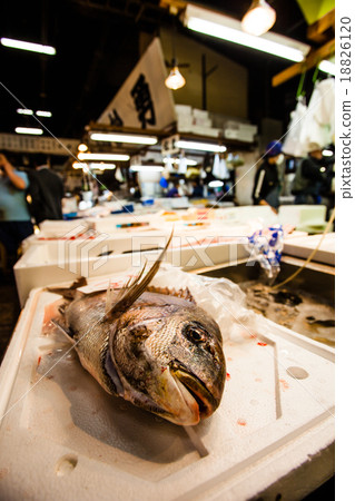 Tsukiji Fish Market, Japan. 18826120
