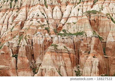 Geological reserve. Ravine 18827522