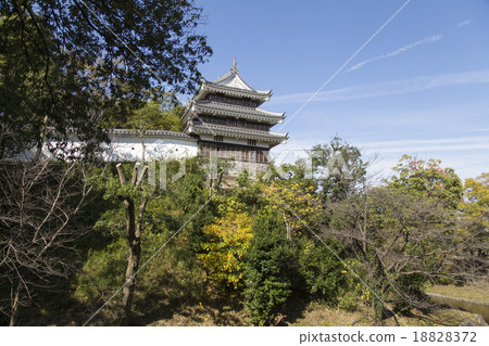 Nishio Castle Honmaru Oda Tiger Oar 18828372