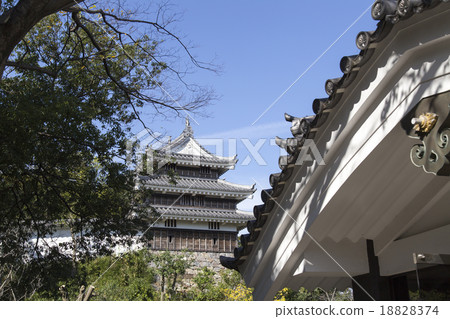 Nishio Castle Honmaru Oda Tiger Oar 18828374