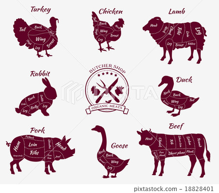 Set Schematic Vew of Animals for Butcher Shop 18828401