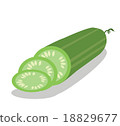 Vector cucumber and cucumber slice  18829677