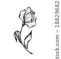 Abstract hand draw flower 18829682