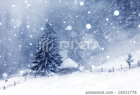 Foggy forest in winter 18832776