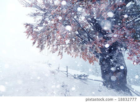 Two seasons - winter and autumn scene in the park 18832777