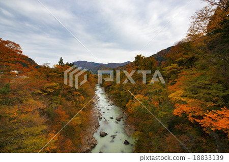 Takeshi Valley 18833139