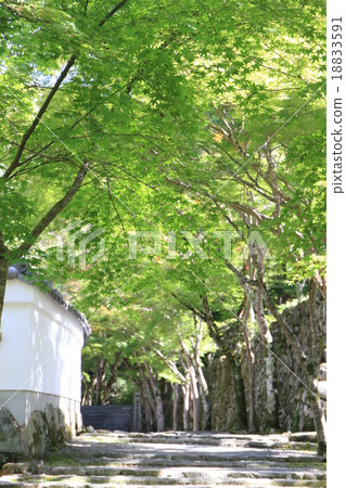 Kamiyama Temple Kamiyama Temple 18833591
