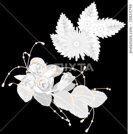 White flowers isolated on black  18833749