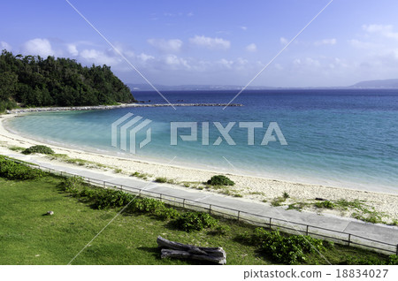 The sea of Okinawa 18834027