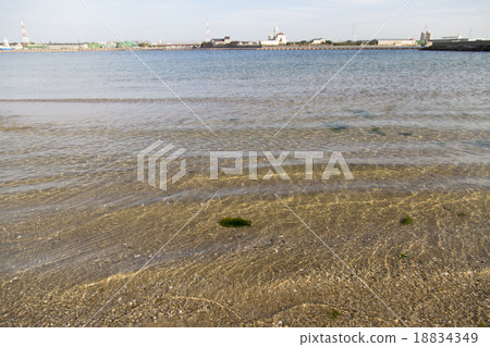 Kamezaki beach green area 18834349