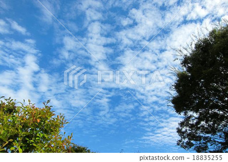 多雲的雲 18835255