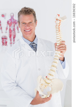 Happy doctor showing anatomical spine Happy doctor showing anatomical spine 18836302