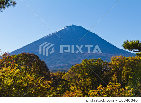 Fuji from Narusawa 18840846