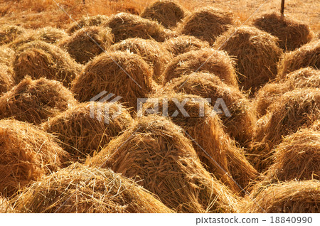 Hay stacks Hay stacks 18840990