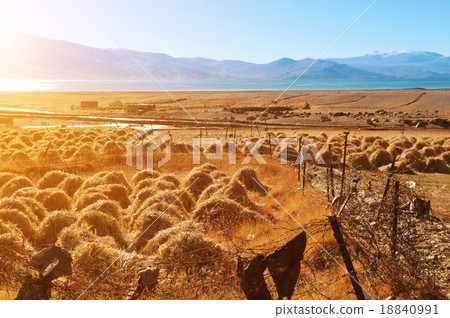 Hay at Tsomoriri Wetland Conservation Reserve Hay at Tsomoriri Wetland Conservation Reserve 18840991