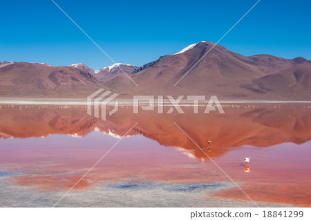 Laguna Kara with reflection of the mountain Laguna Kara with reflection of the mountain 18841299