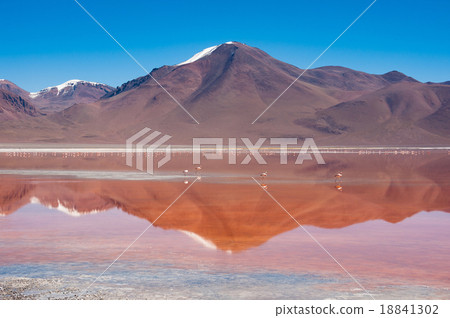 Laguna Kara with reflection of the mountain Laguna Kara with reflection of the mountain 18841302