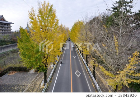 Ichigo Namiki (Tenri City, Nara Prefecture) Ichigo Namiki (Tenri City, Nara Prefecture) 18842920