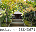 Kagoro-ji寺廟Aloha在森林裡 18843671