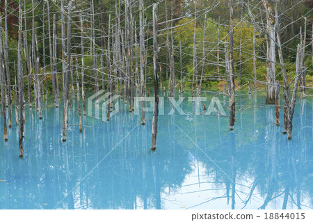 Biei's Blue Pond Biei's Blue Pond 18844015