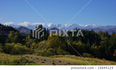 白馬仁飛皇冠雪 18844124