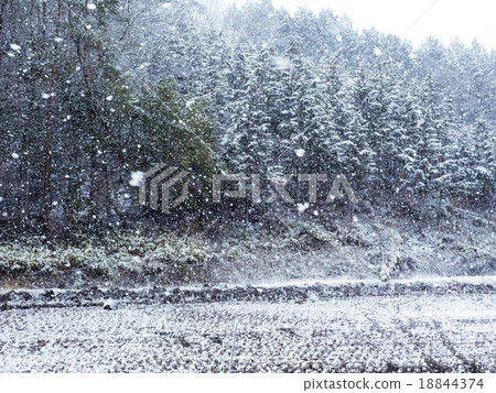 Snow falling down Snow falling down 18844374