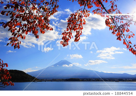 November Fuji 1072 Kawaguchiko of autumn leaves November Fuji 1072 Kawaguchiko of autumn leaves 18844554