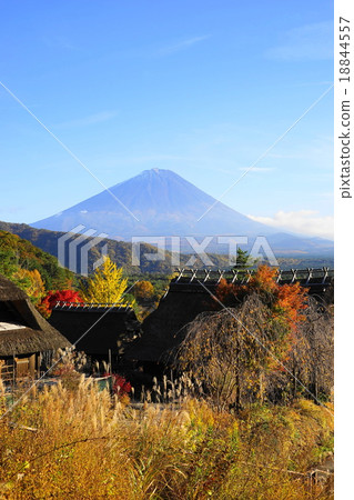 November Fuji 1102 Thatched roof group · Autumn of the root floor 18844557