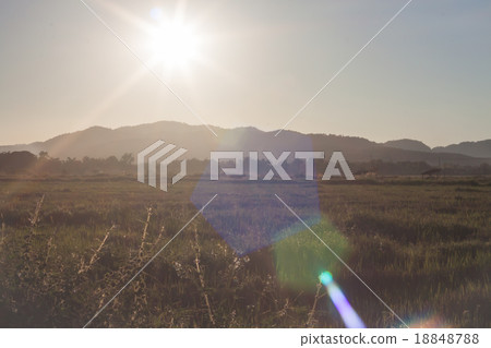 Sunrise and field with lens flare Sunrise and field with lens flare 18848788