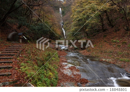 Saruo Falls Saruo Falls 18848801