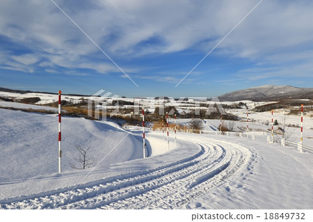 Winter of the road leading to the three trees of Shinjo Town in Ashibetsu City. Winter of the road leading to the three trees of Shinjo Town in Ashibetsu City. 18849732