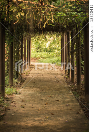 archway in a garden. archway in a garden. 18850412