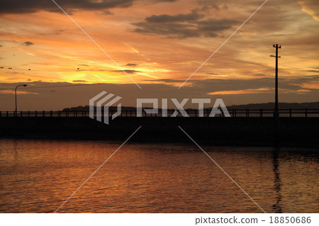 瘋狂的天空 瘋狂的天空 18850686