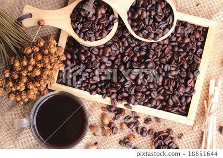 Roasted coffee beans with hot coffee 18851644