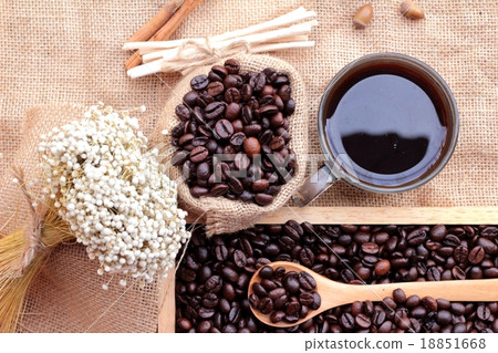 Roasted coffee beans with hot coffee 18851668