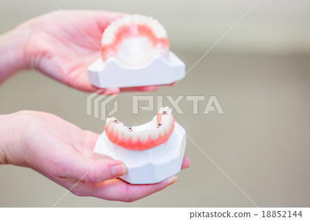 Hand holding a set of dentures Hand holding a set of dentures 18852144
