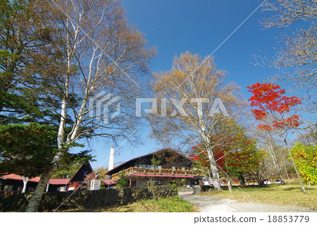 Fall of Qing Dormitory 18853779