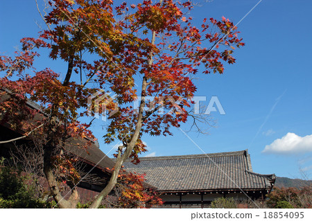 京都Kenshu-ji秋葉 18854095