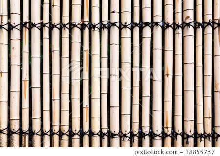 bamboo fence background 18855737